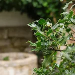 Guestready - Magnolia & Apartamento
