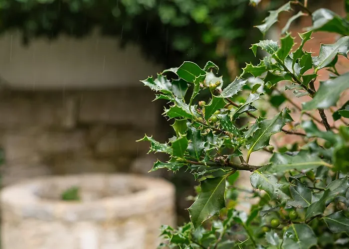 Guestready - Magnolia & Appartamento